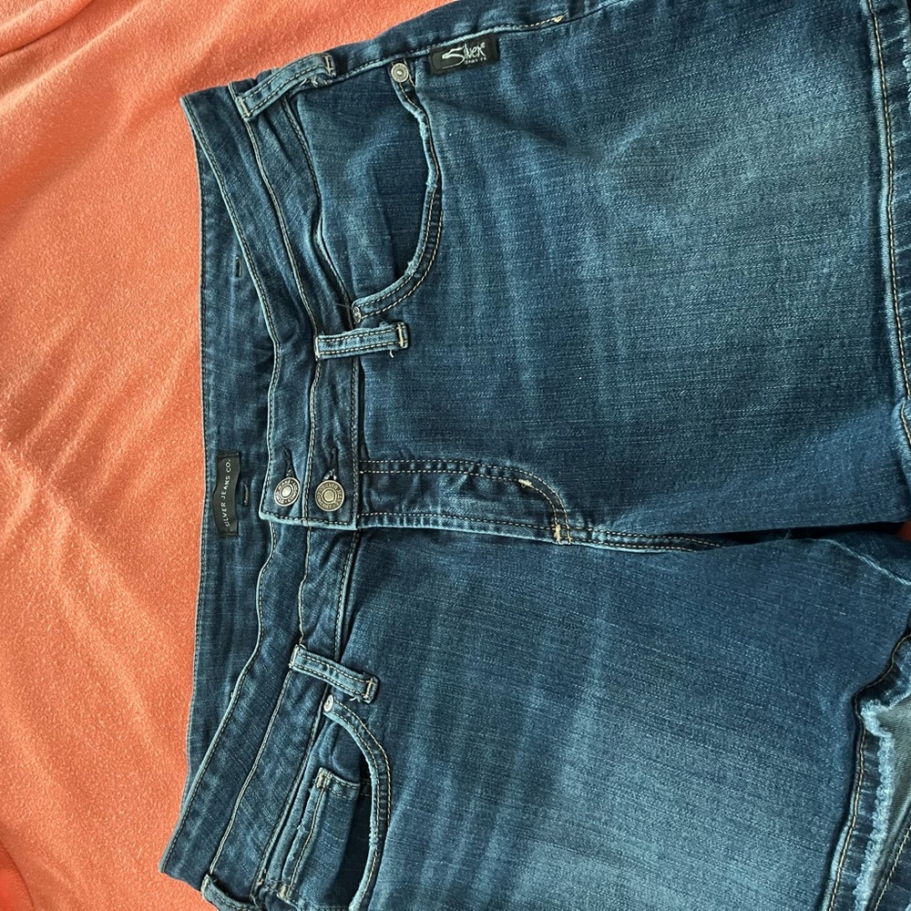 Silver Jeans Classic Blue Denim Collection